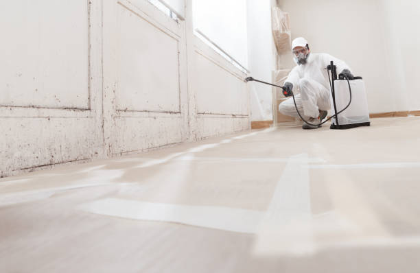 24/7 Emergency Mold Remediation experts in Damascus, OR